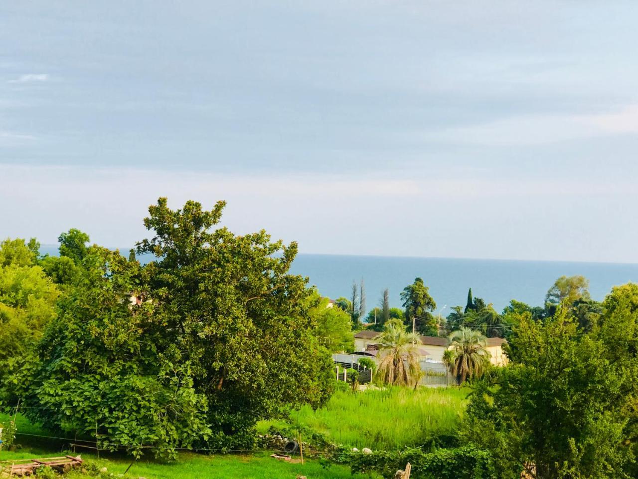 Palm Hotel New Athos Εξωτερικό φωτογραφία