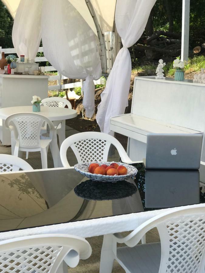Palm Hotel New Athos Εξωτερικό φωτογραφία